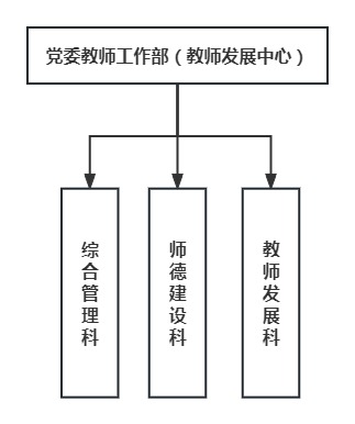 部门领导